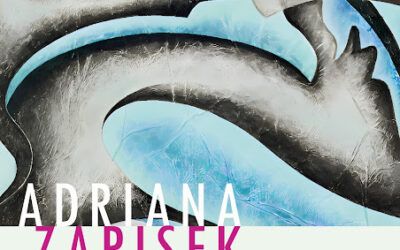 EXPOSICIÓN NÚCLEOS Y CARACOLAS DE ADRIANA ZAPISEK